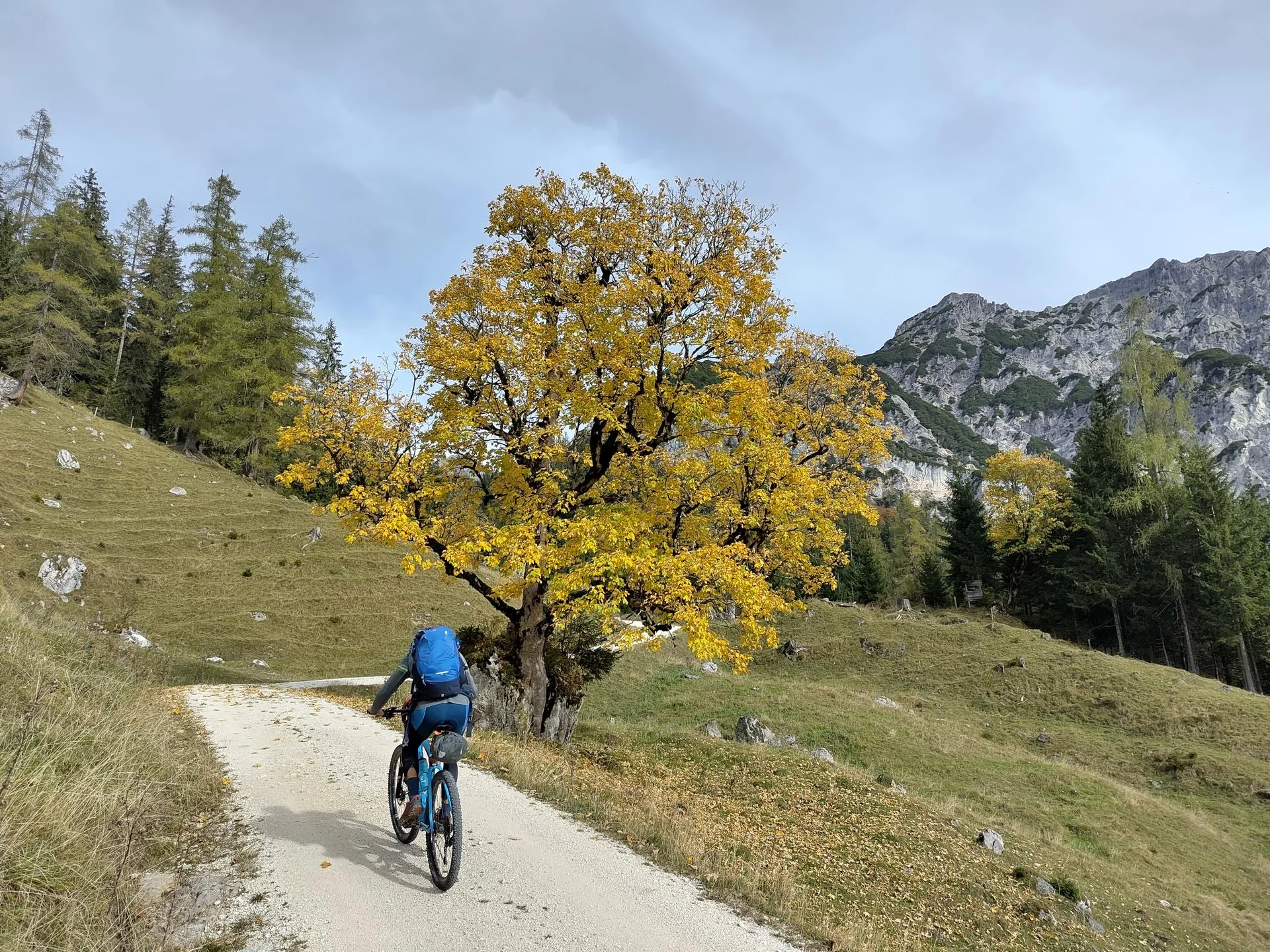 © Sektion Rosenheim - Harald Wettemann