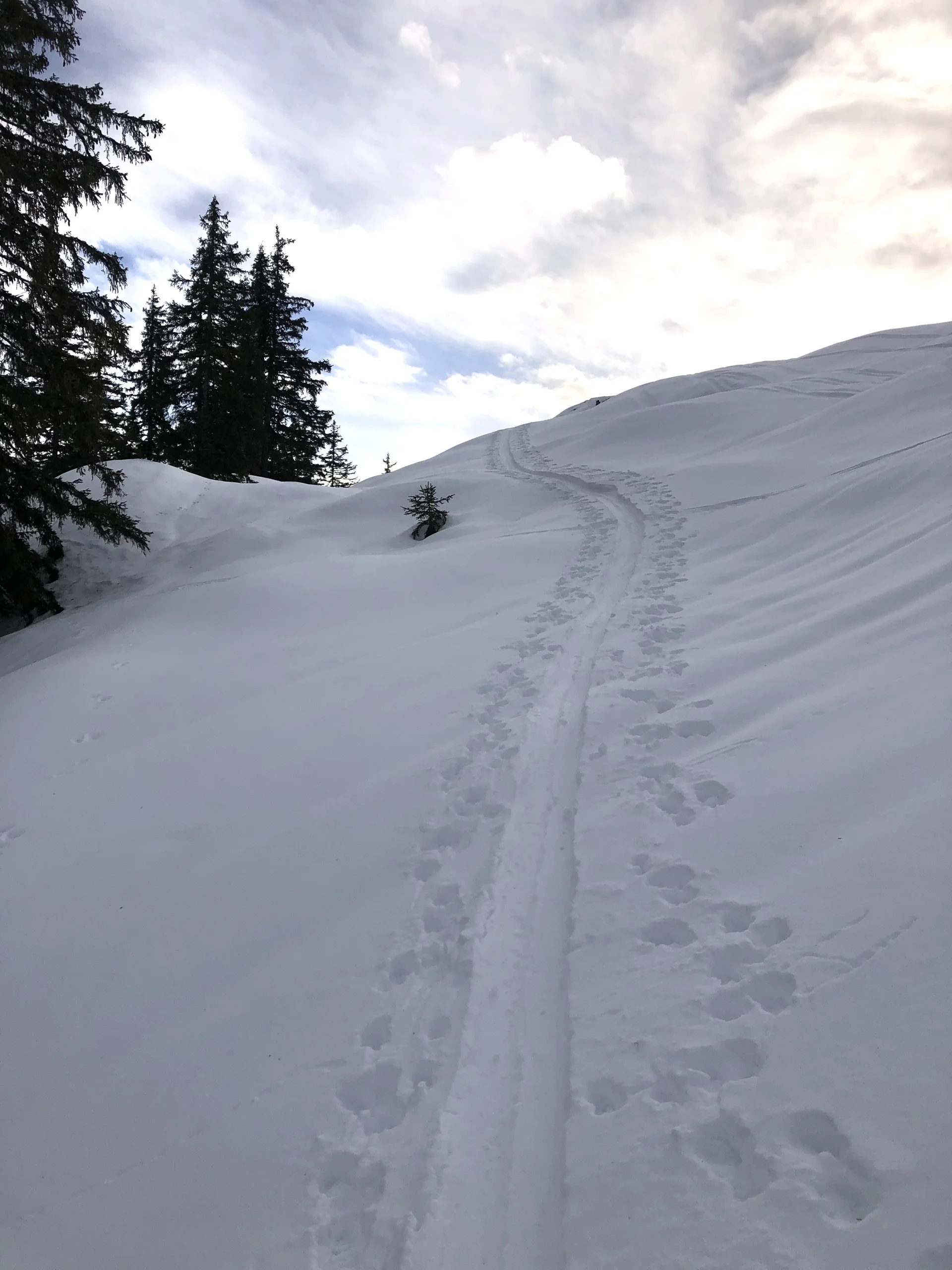 © DAV Sektion Rosenheim - Christoph Schnurr