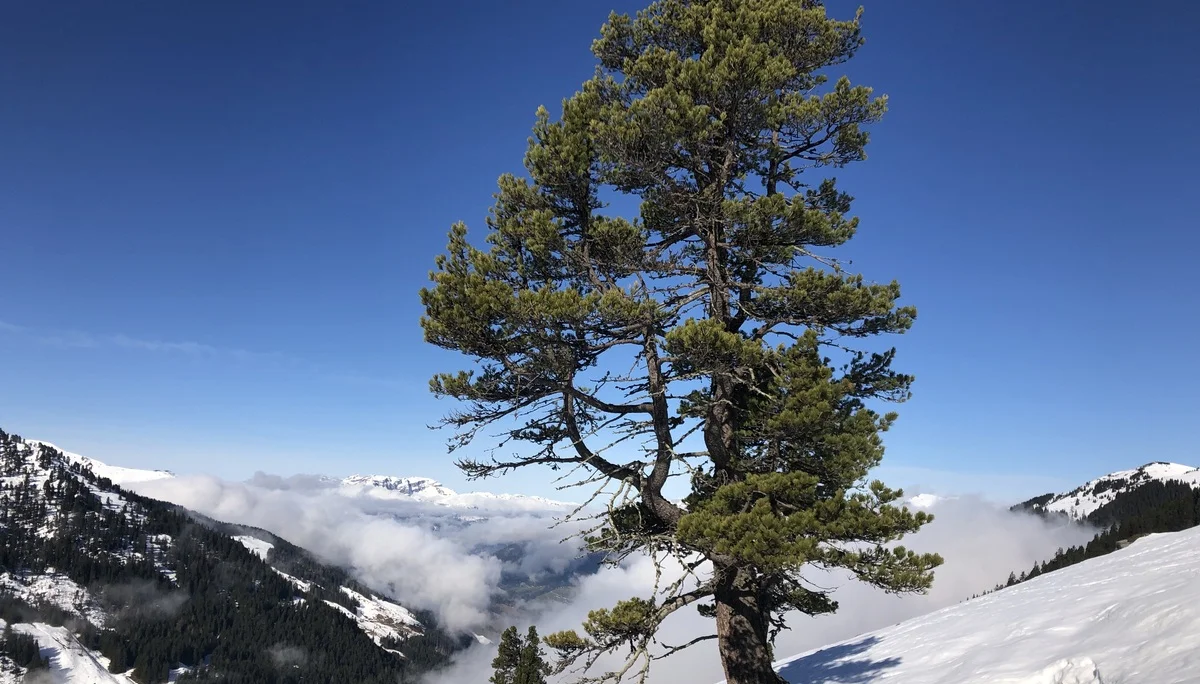 © DAV Sektion Rosenheim - Christoph Schnurr