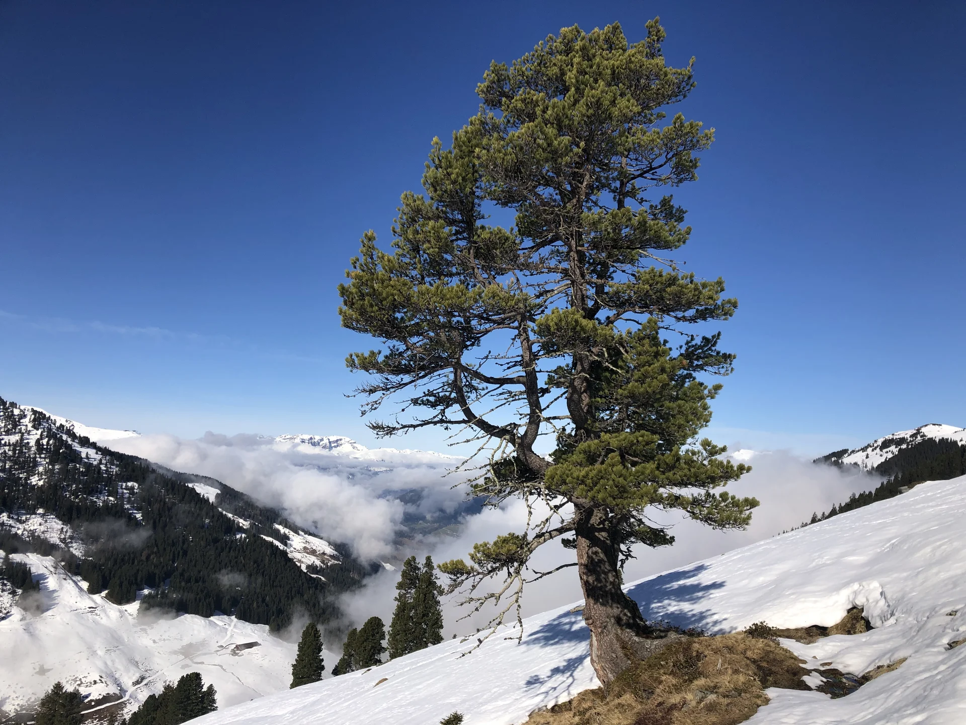 © DAV Sektion Rosenheim - Christoph Schnurr