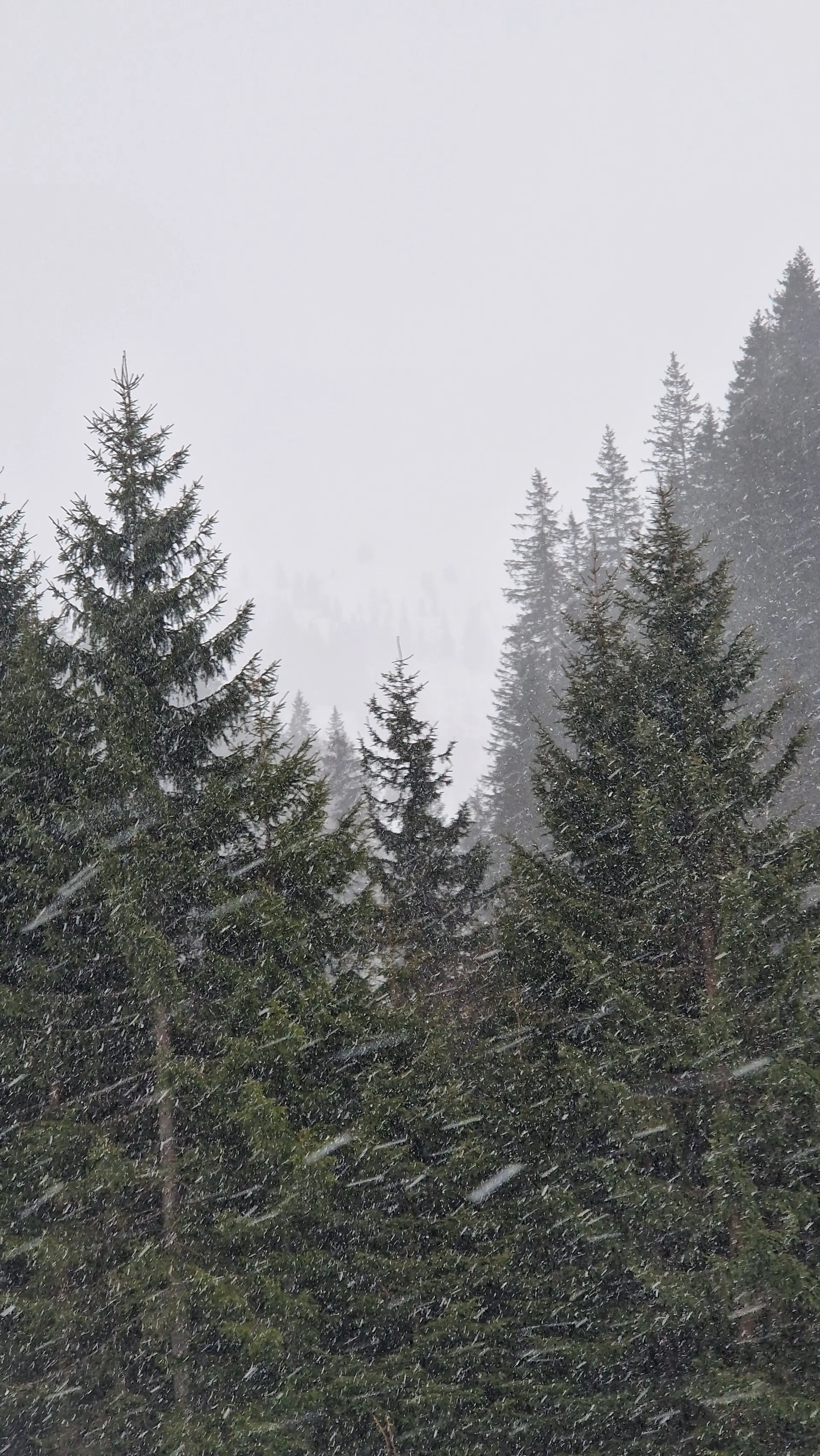 © Sektion Rosenheim DAV - Felix Hein