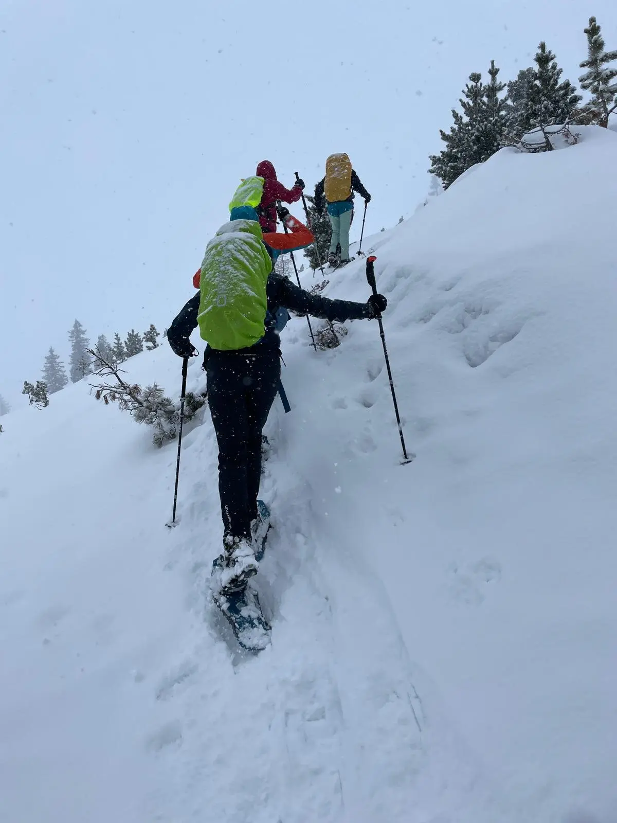 © DAV Sektion Rosenheim - Viola Liegl