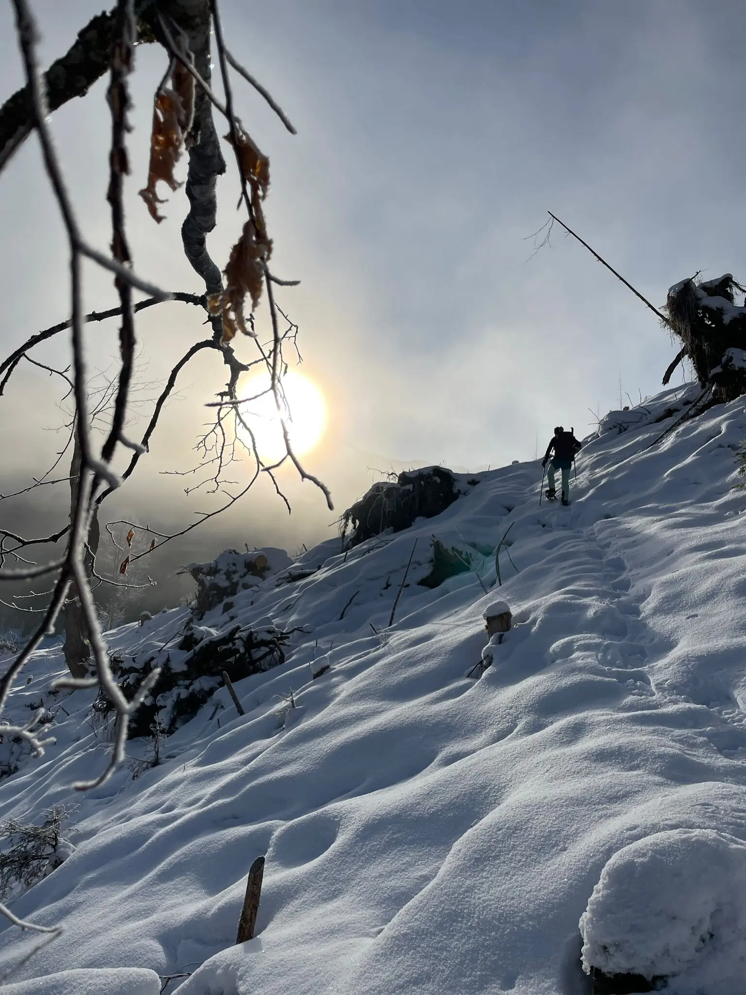 © DAV Sektion Rosenheim - Viola Liegl