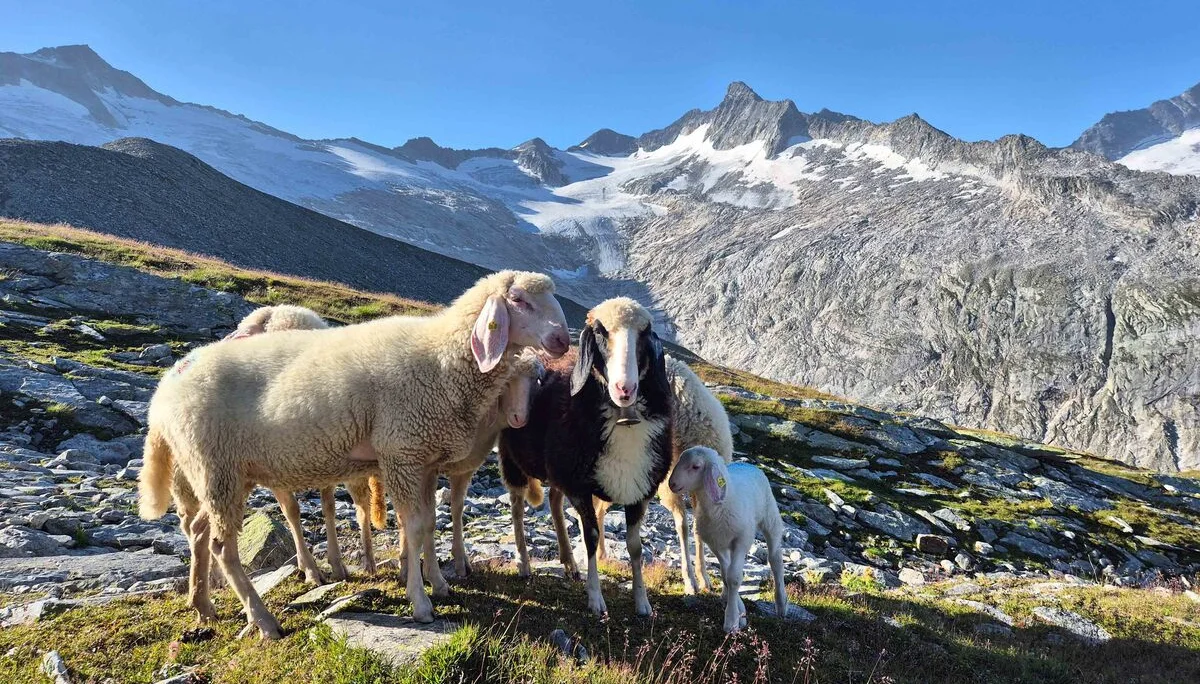 © DAV Sektion Rosenheim