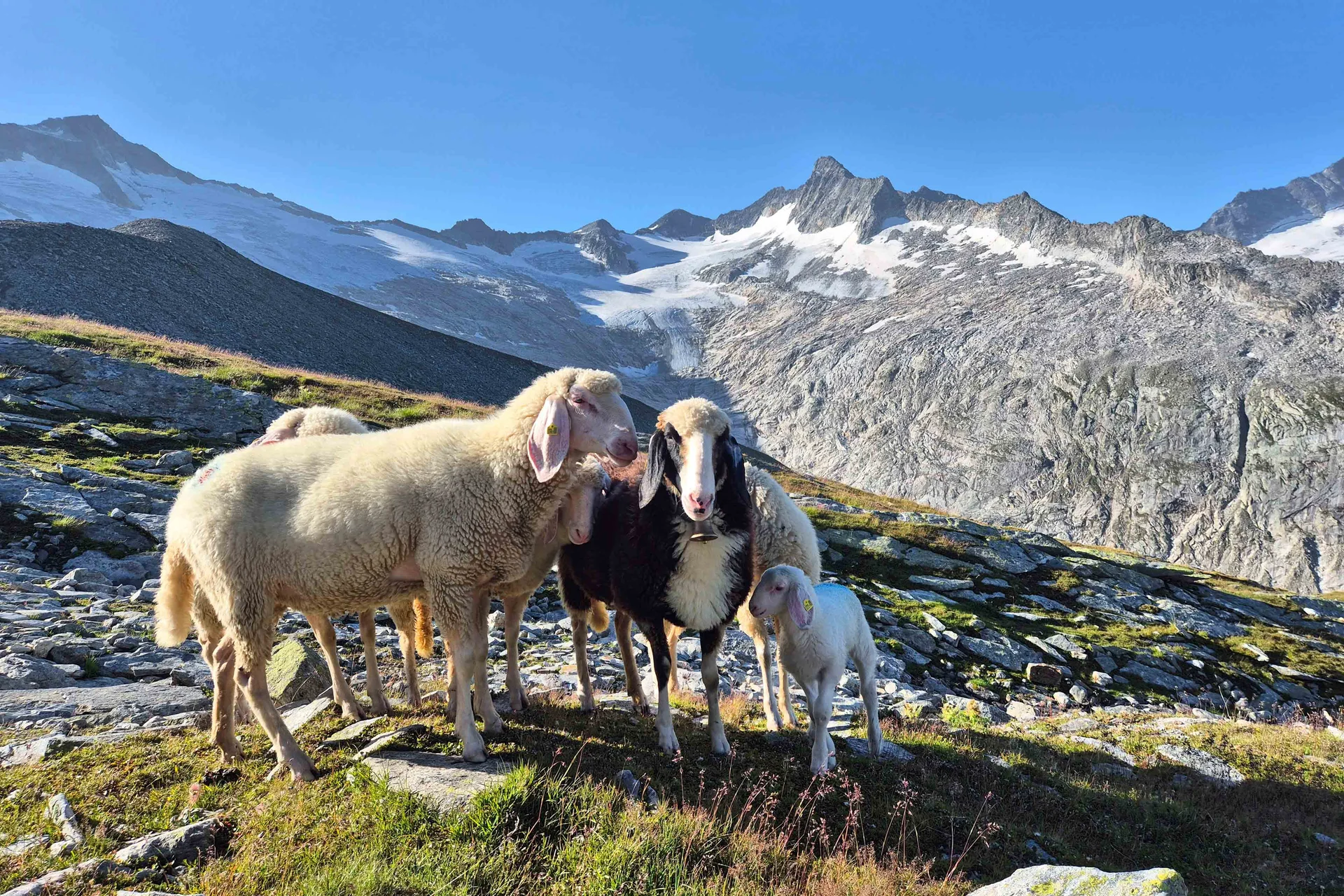 © DAV Sektion Rosenheim