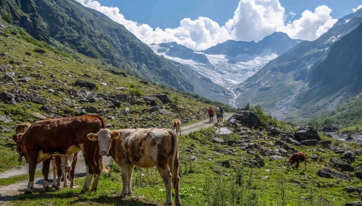 © DAV Sektion Rosenheim