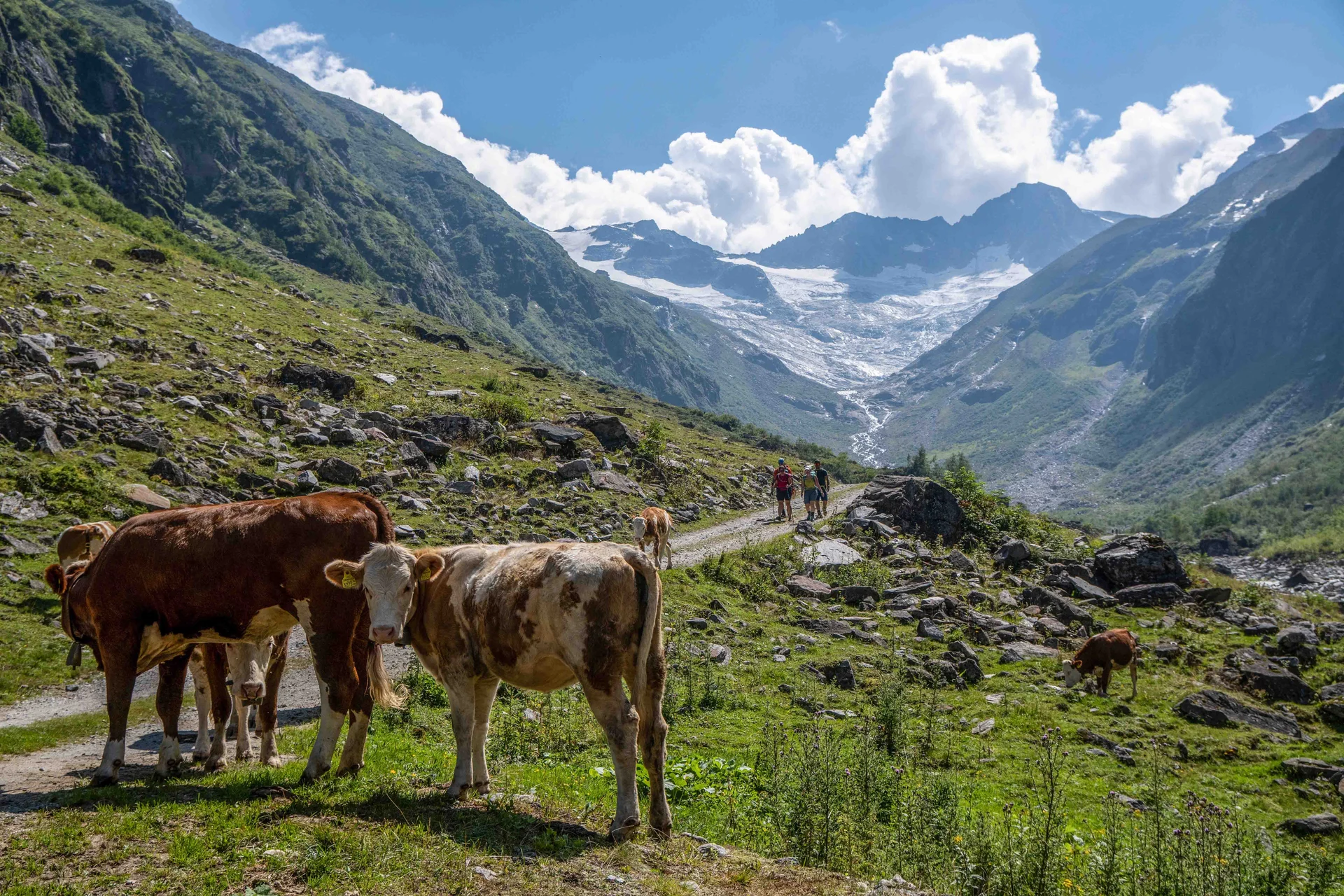 © DAV Sektion Rosenheim