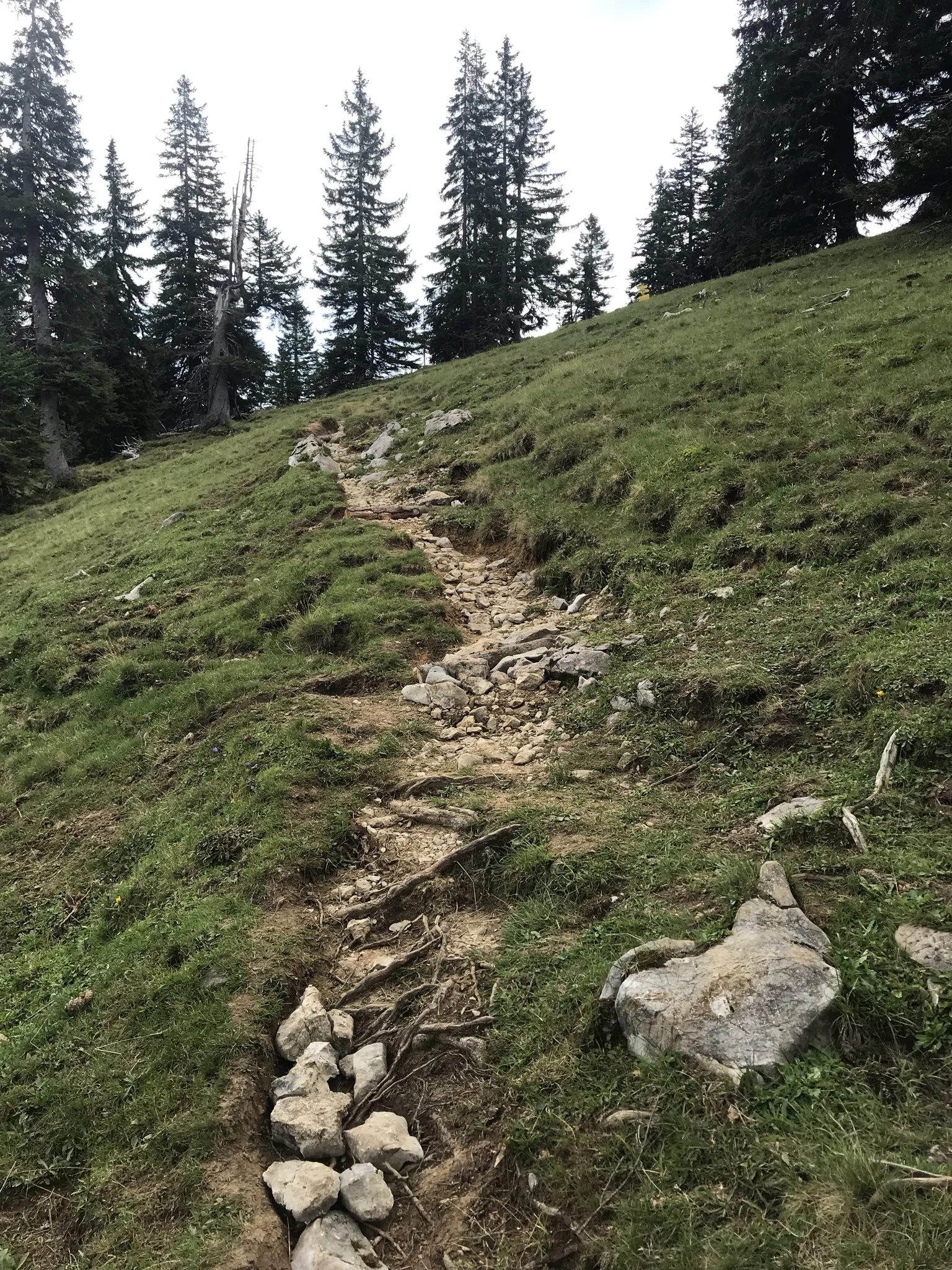 © DAV Sektion Rosenheim - Christoph Schnurr