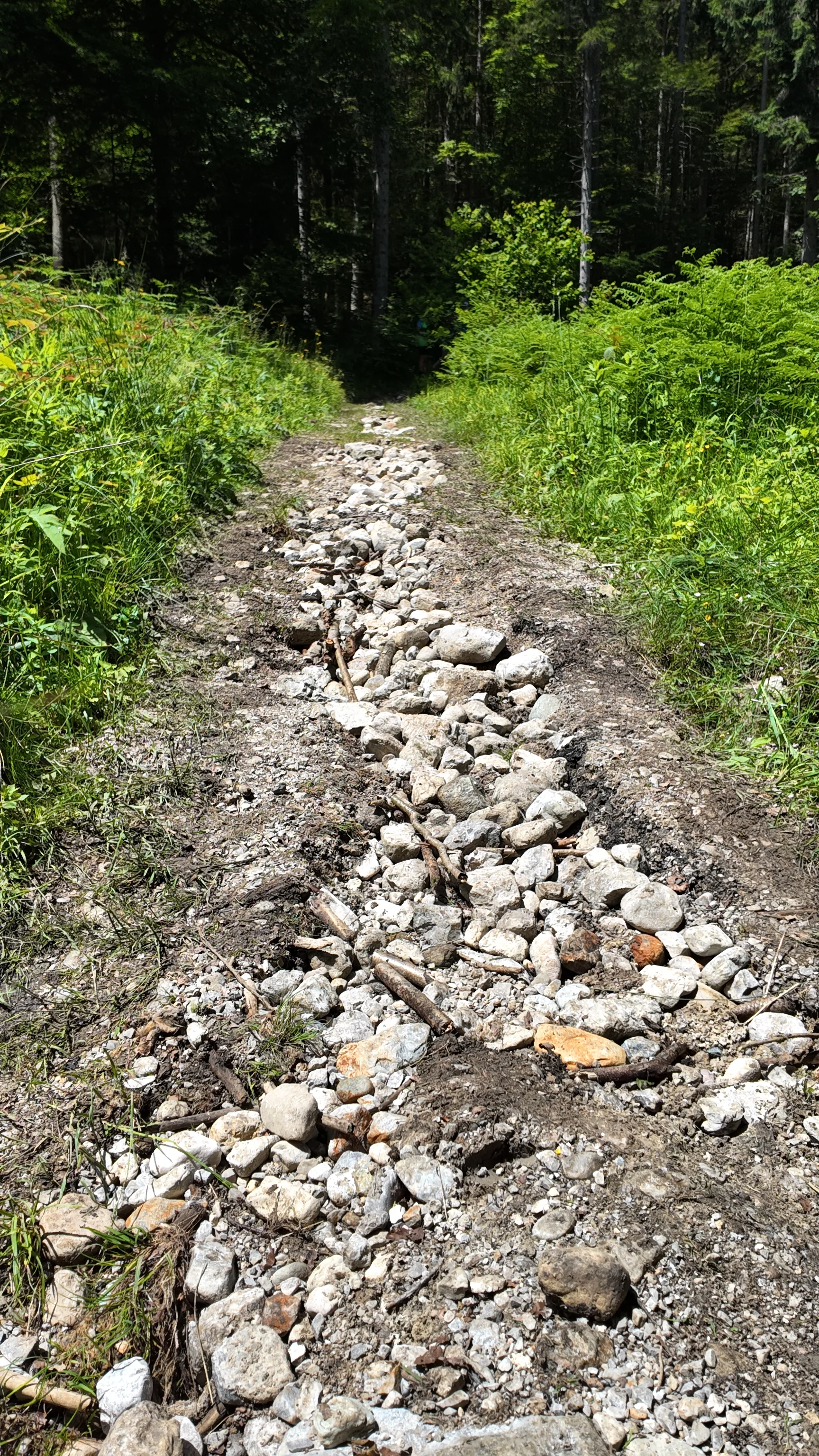 © DAV Sektion Rosenheim