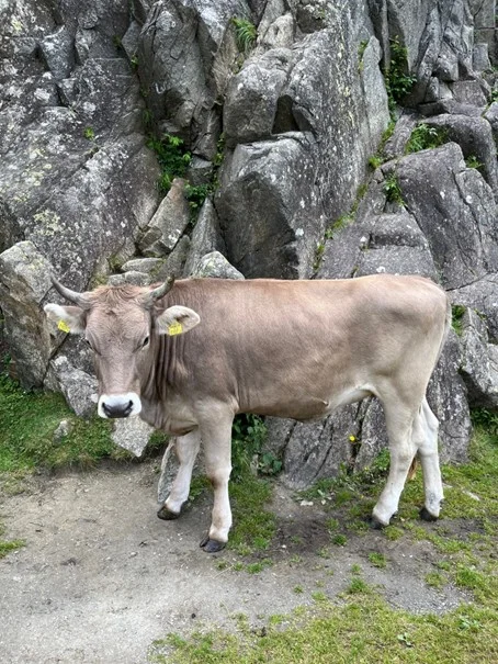 © DAV Sektion Rosenheim