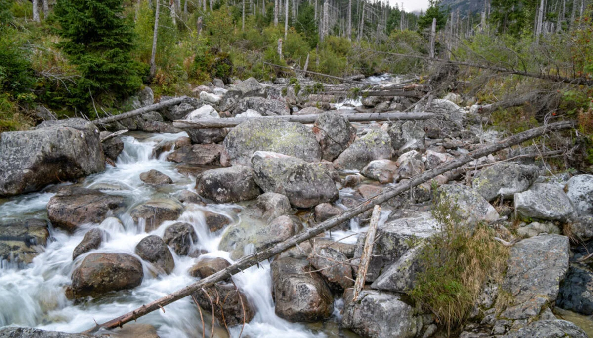 © DAV Sektion Rosenheim