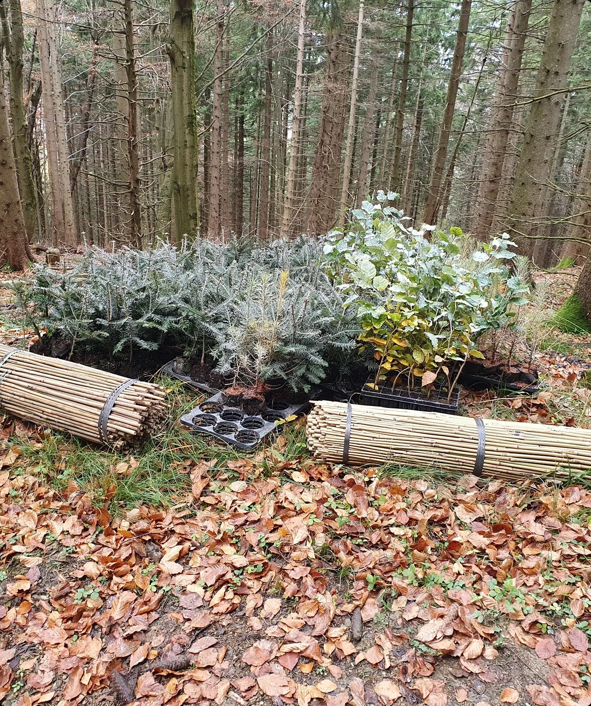 © Sektion Rosenheim DAV