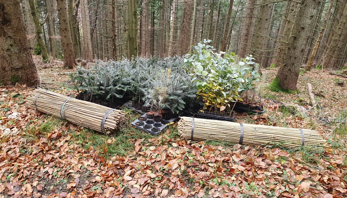 © Sektion Rosenheim DAV