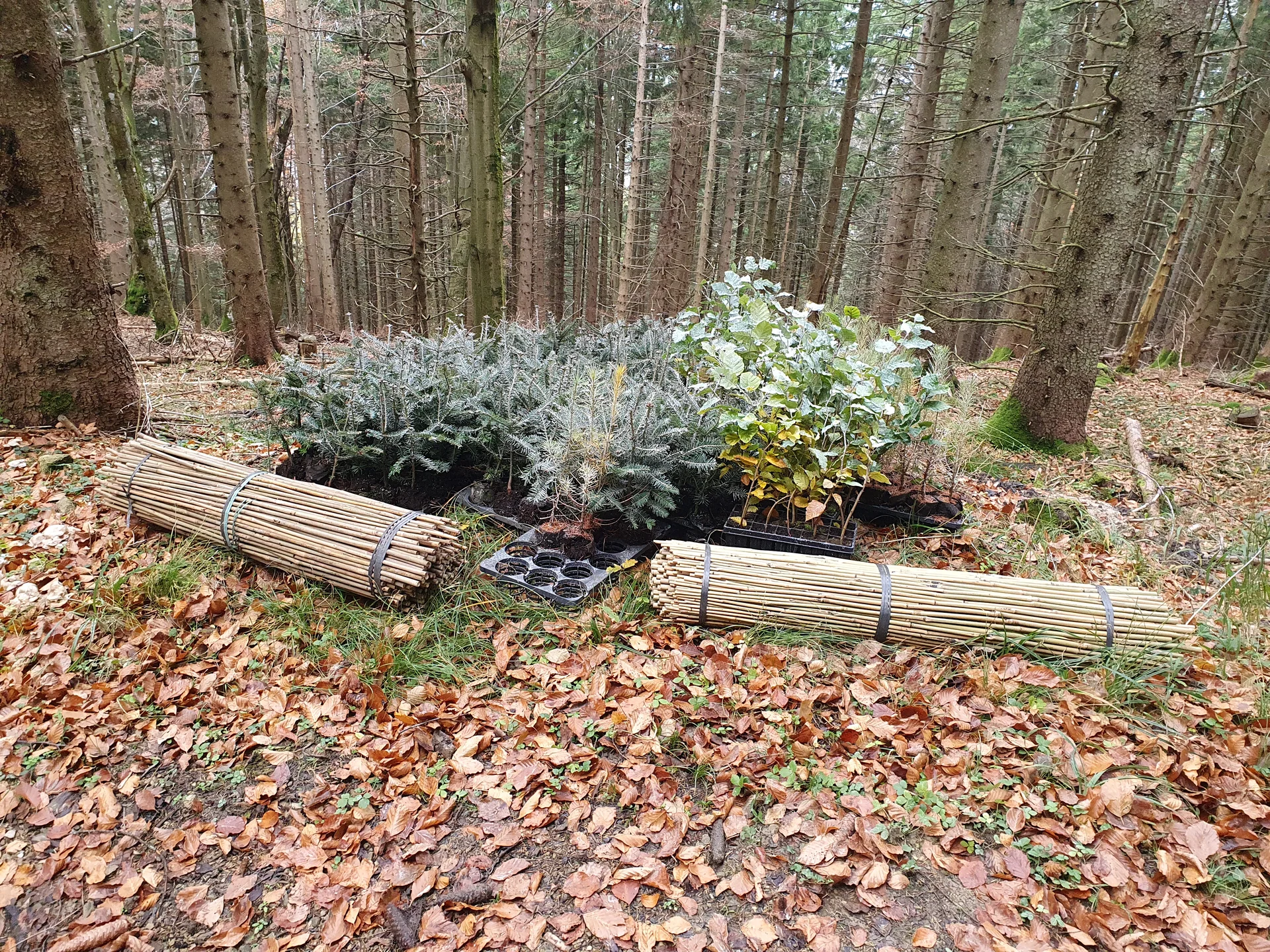 © Sektion Rosenheim DAV