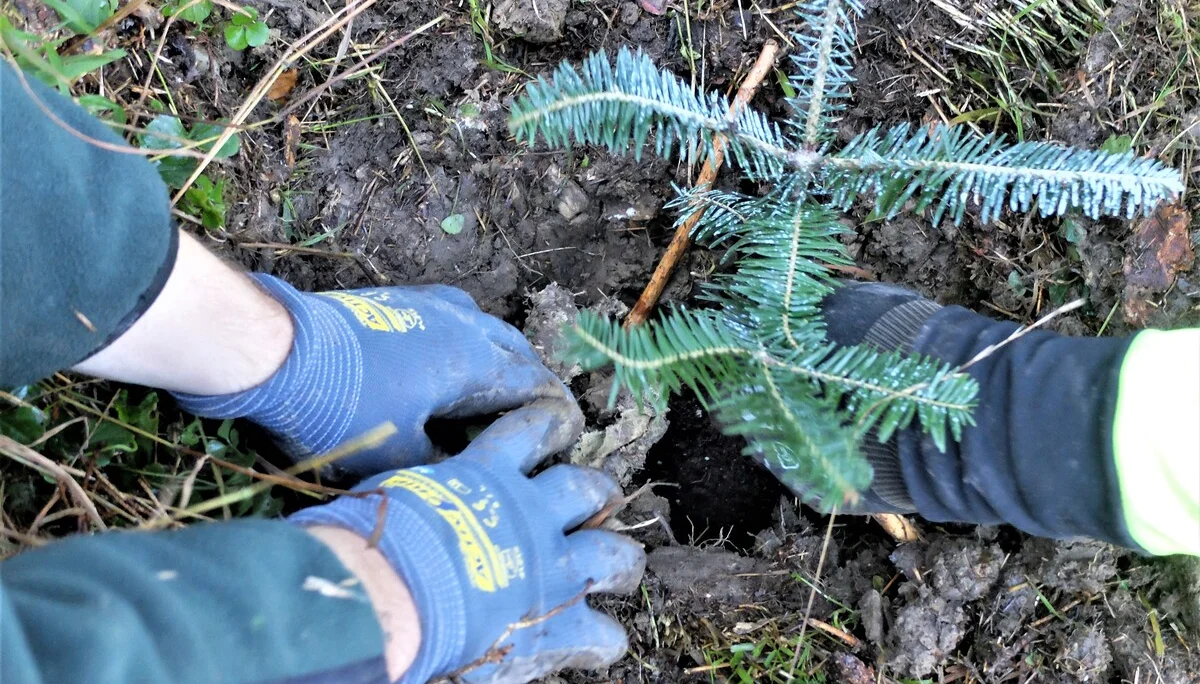 © Sektion Rosenheim DAV