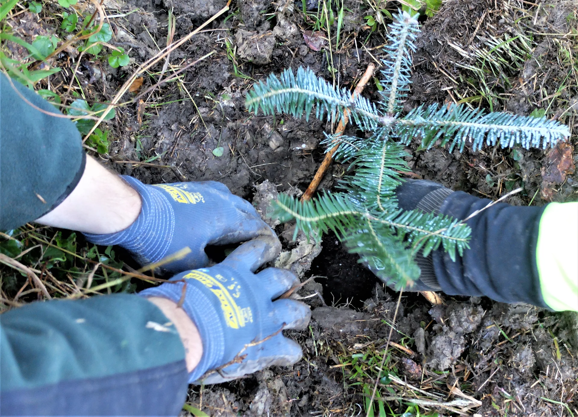 © Sektion Rosenheim DAV