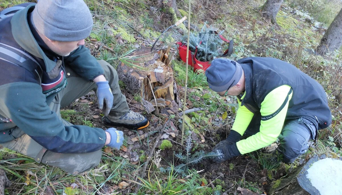 © Sektion Rosenheim DAV