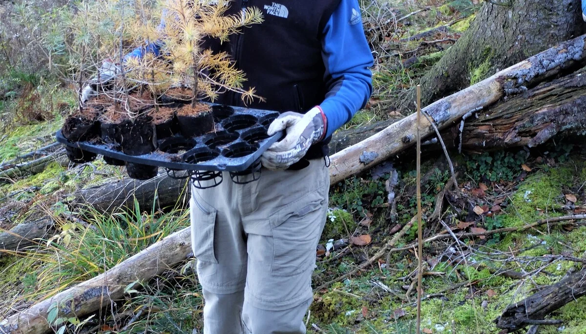 © Sektion Rosenheim DAV