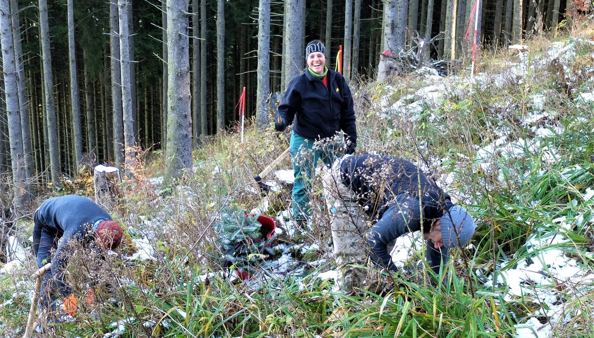 © Sektion Rosenheim DAV