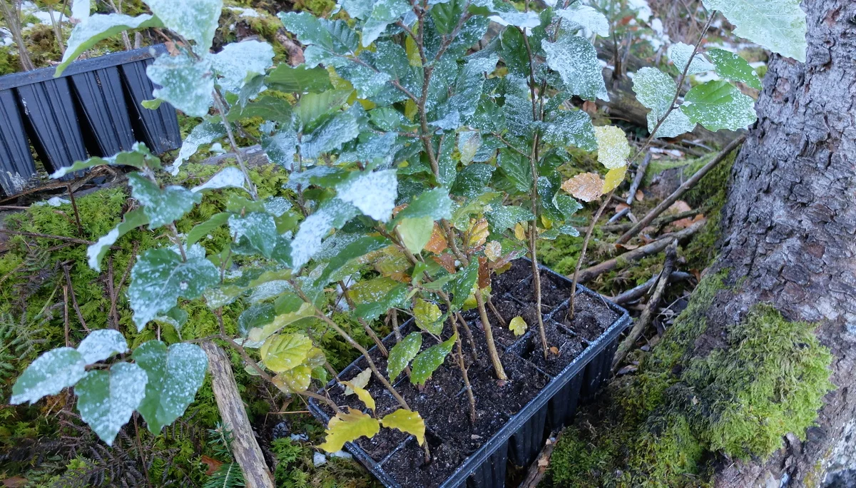 © Sektion Rosenheim DAV