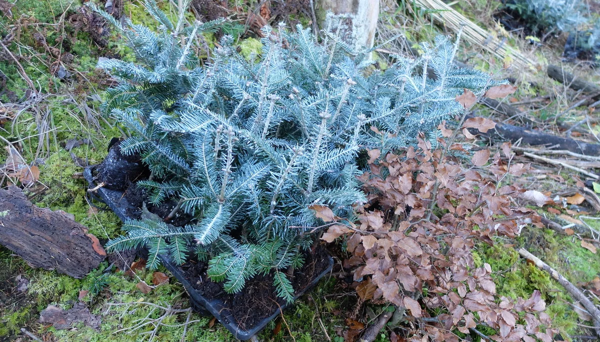 © Sektion Rosenheim DAV