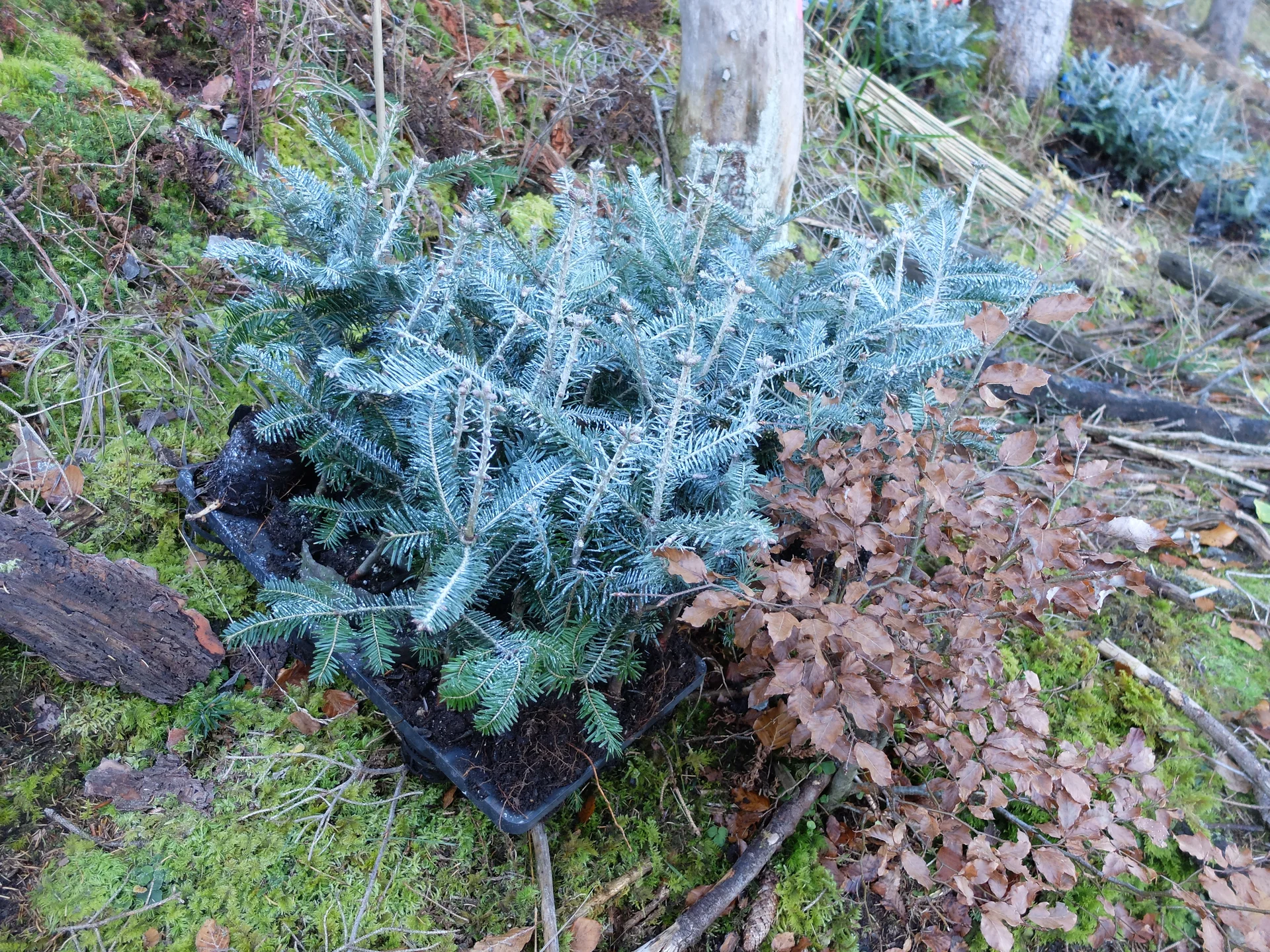 © Sektion Rosenheim DAV