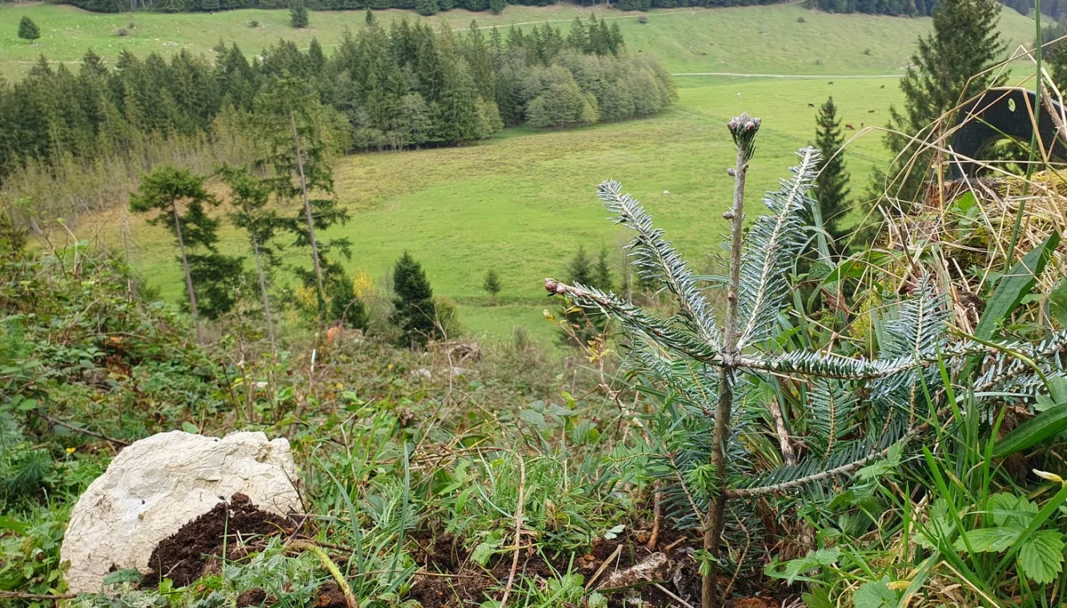 © Sektion Rosenheim - Pascal Barz