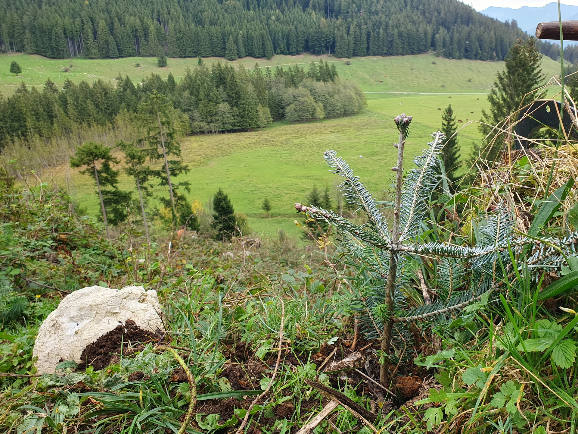 © Sektion Rosenheim - Pascal Barz