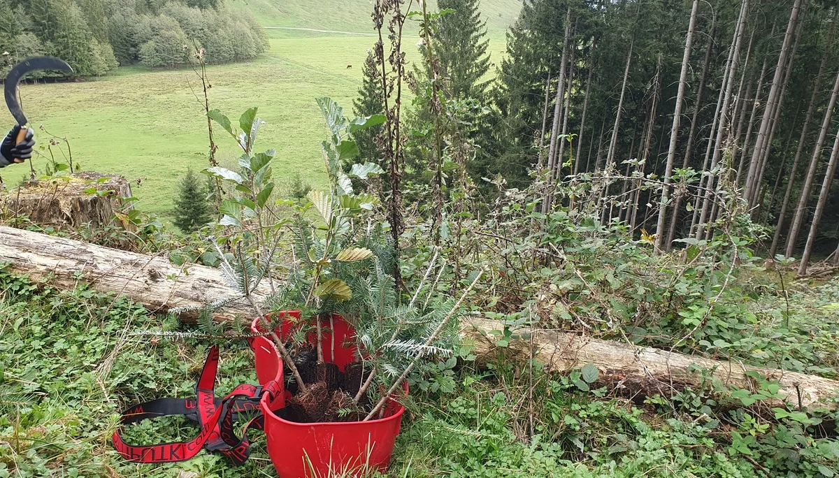 © Sektion Rosenheim - Pascal Barz