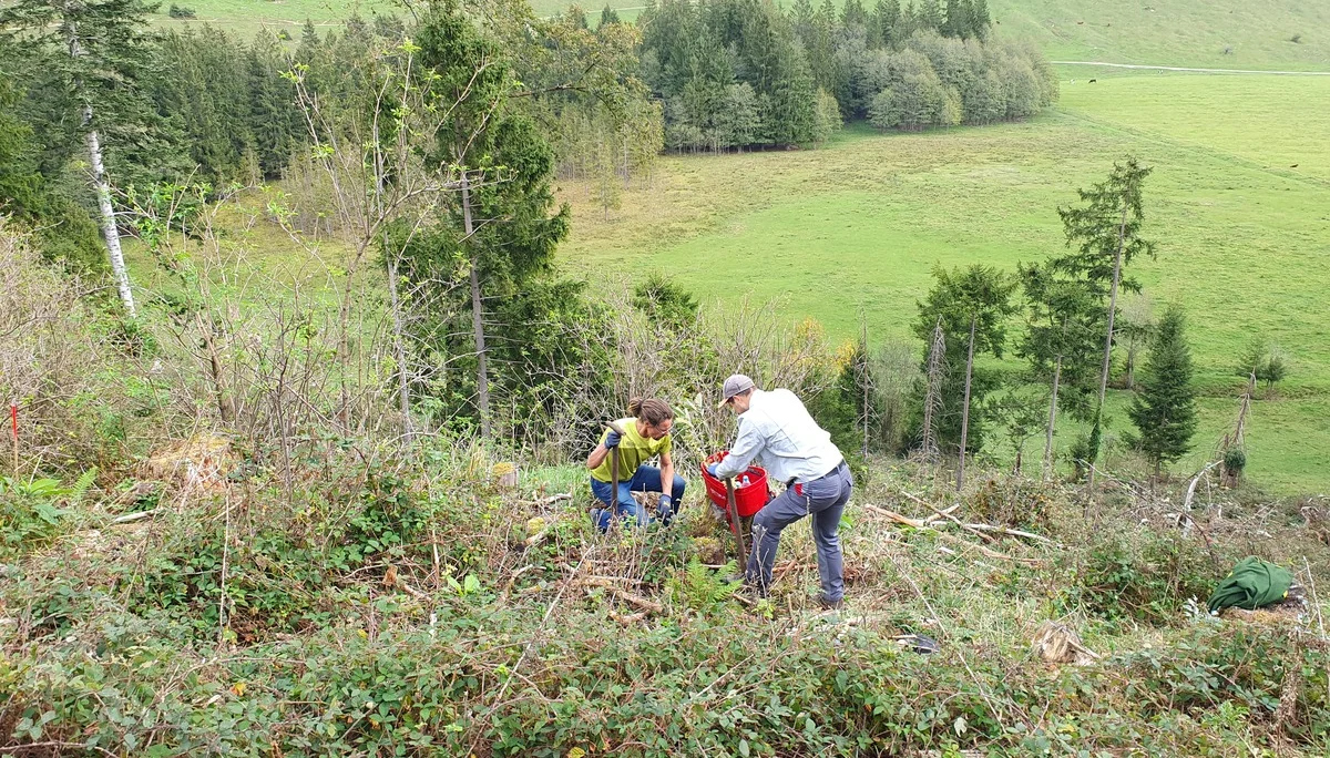 © Sektion Rosenheim - Pascal Barz