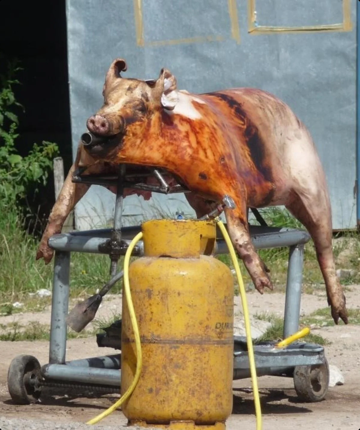 © DAV Sektion Rosenheim - Wolfgang Büttner