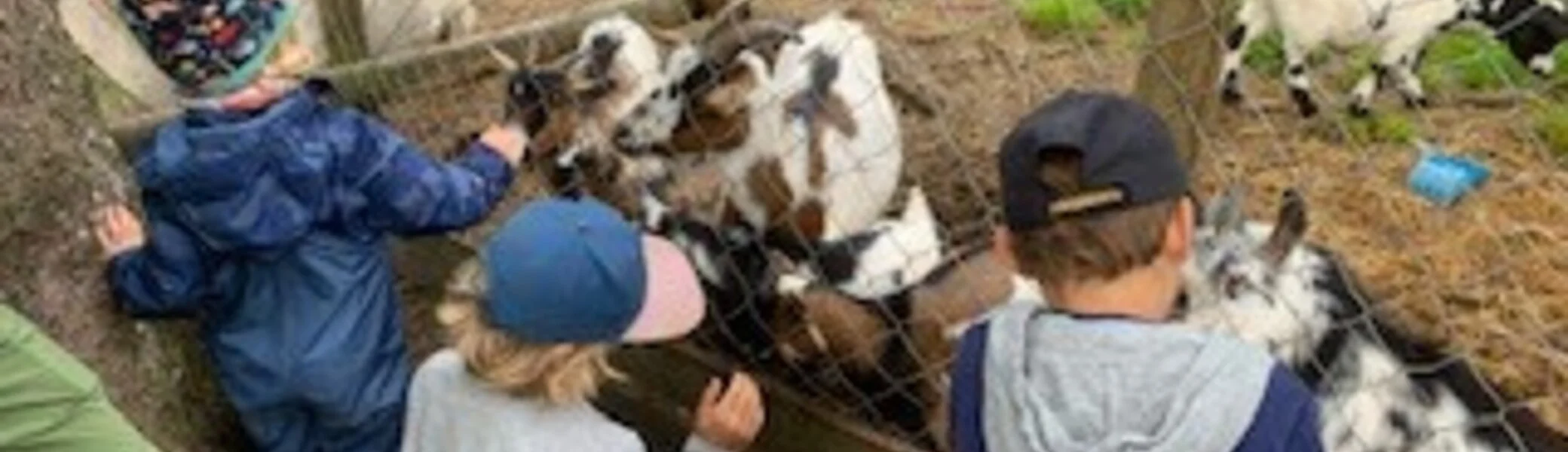 © DAv Sektion Rosenheim