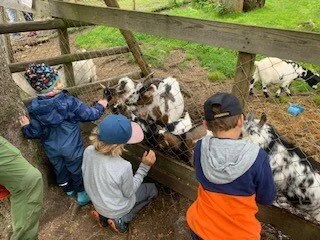 © DAv Sektion Rosenheim