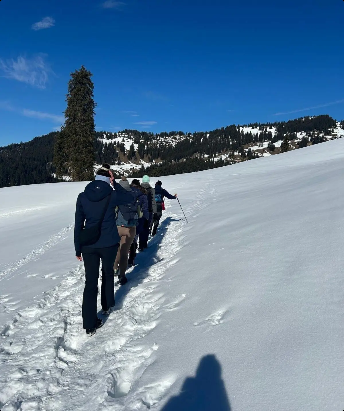 © DAV Sektion Rosenheim