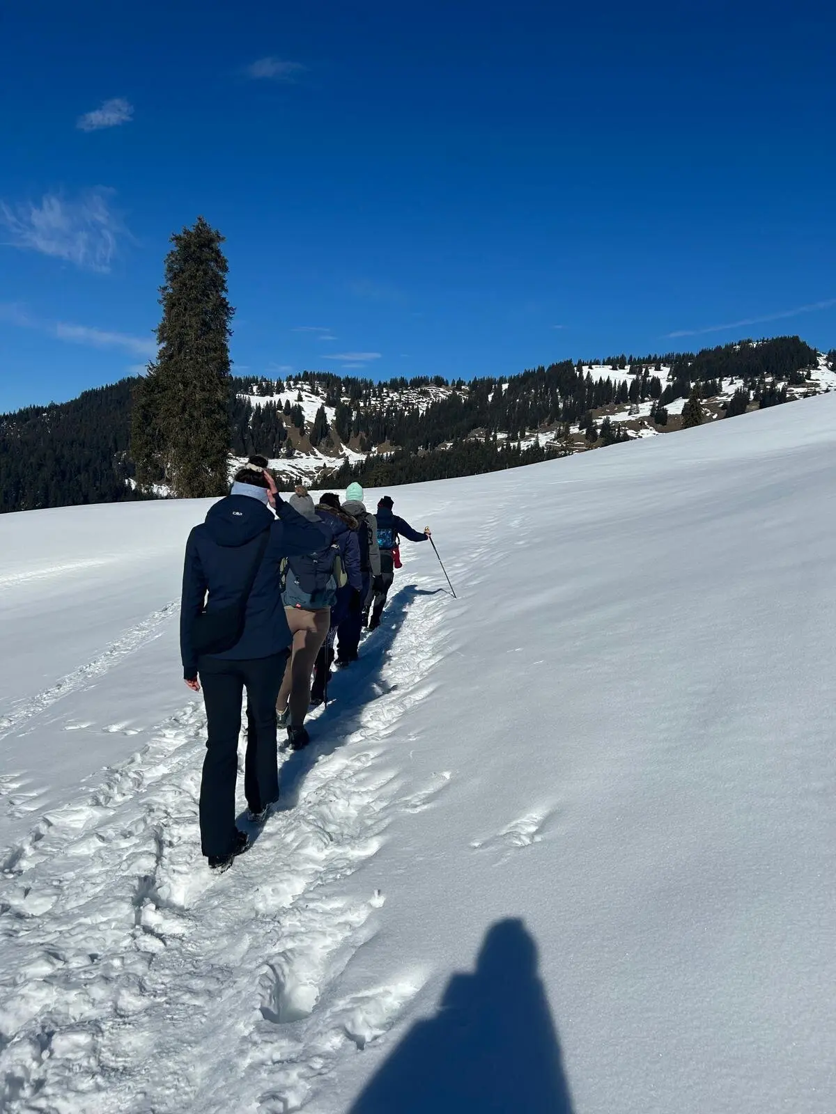 © DAV Sektion Rosenheim