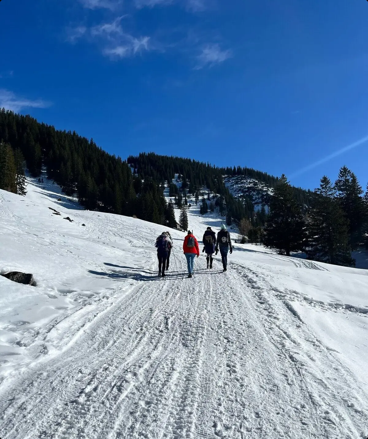 © DAV Sektion Rosenheim