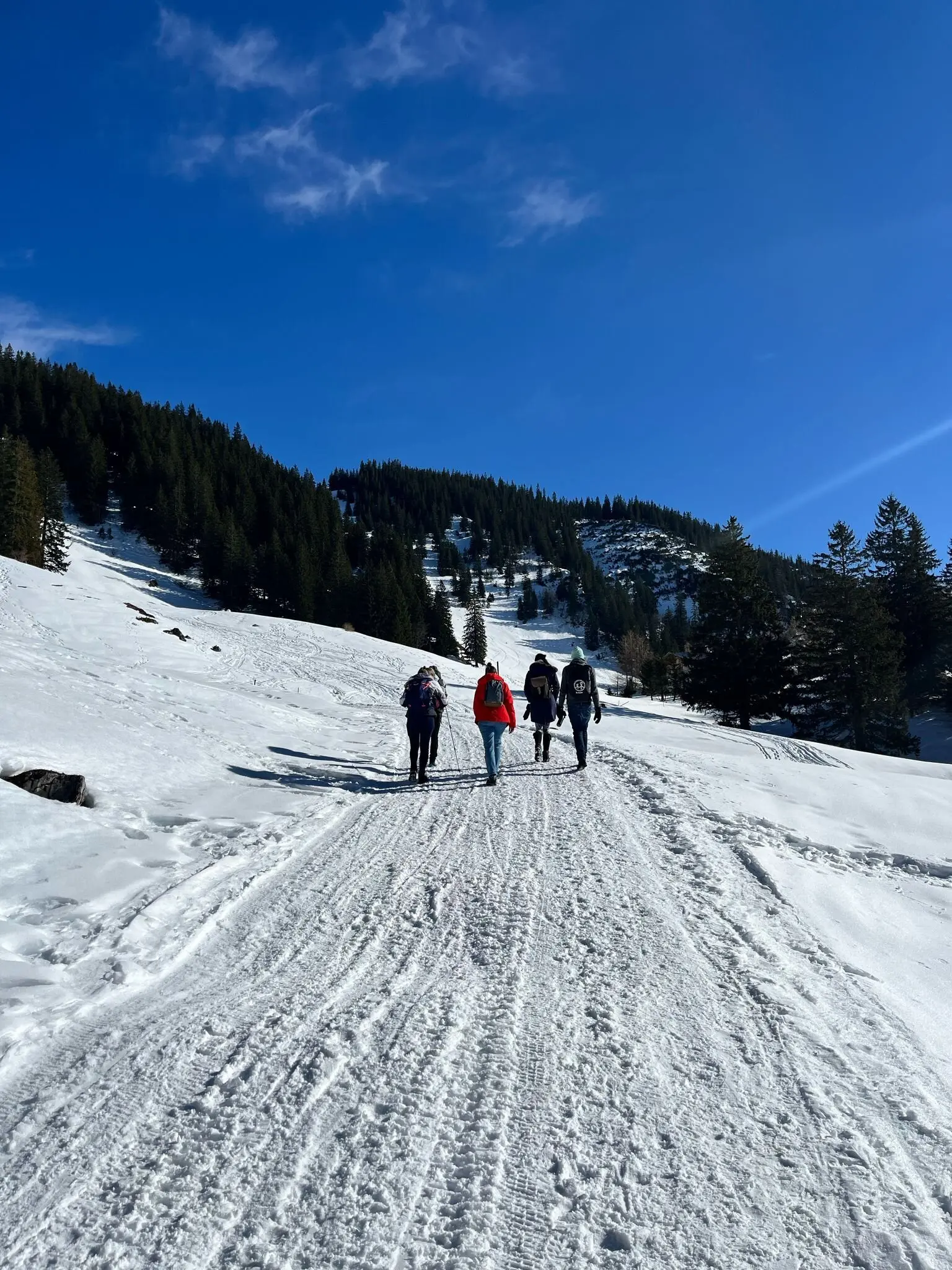 © DAV Sektion Rosenheim