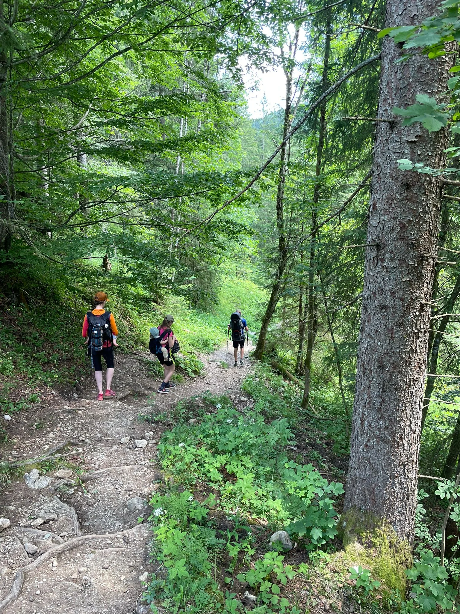 © DAV Sektion Rosenheim