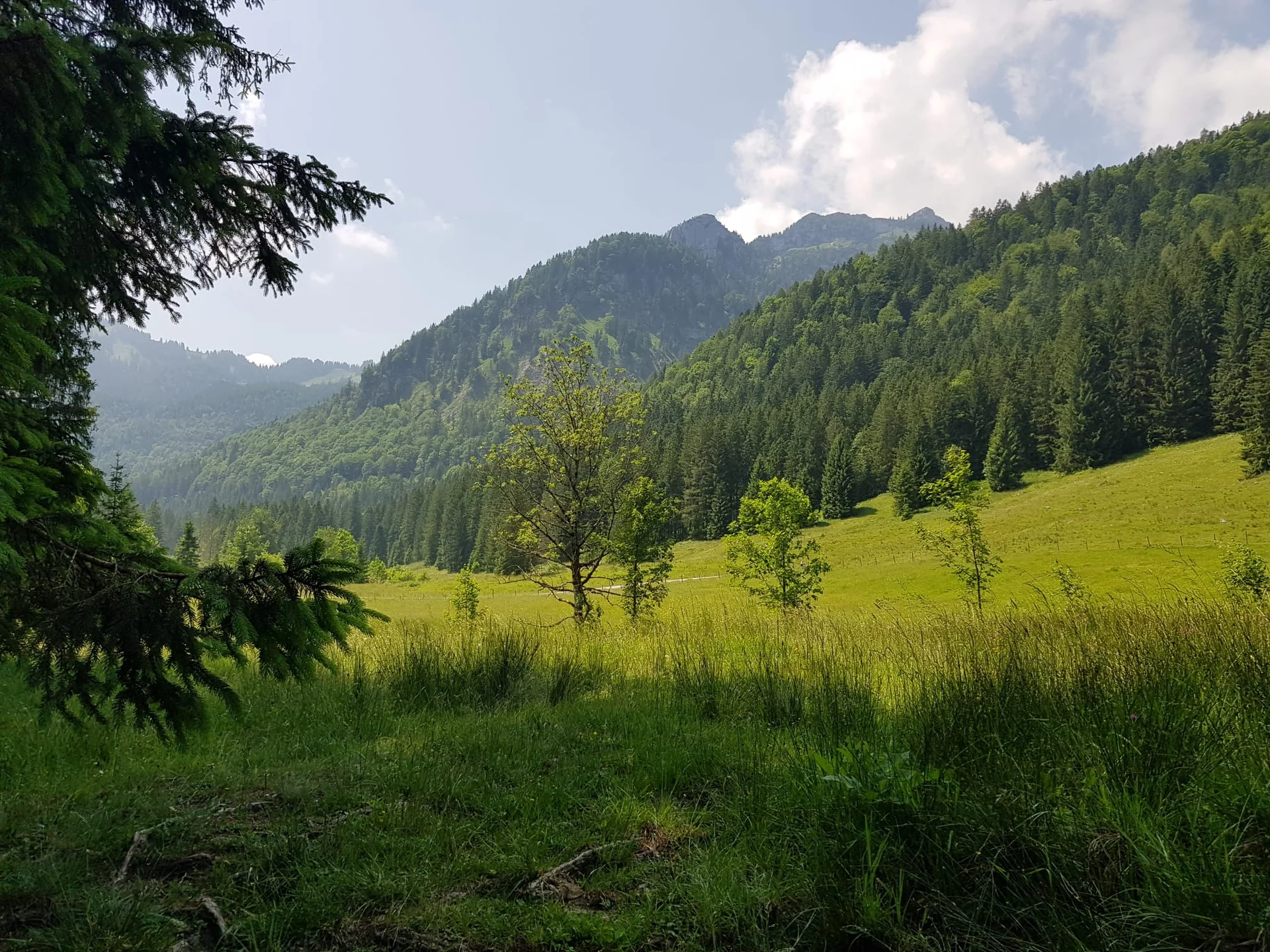 © DAV Sektion Rosenheim