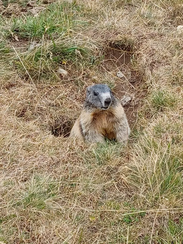 © DAV Sektion Rosenheim