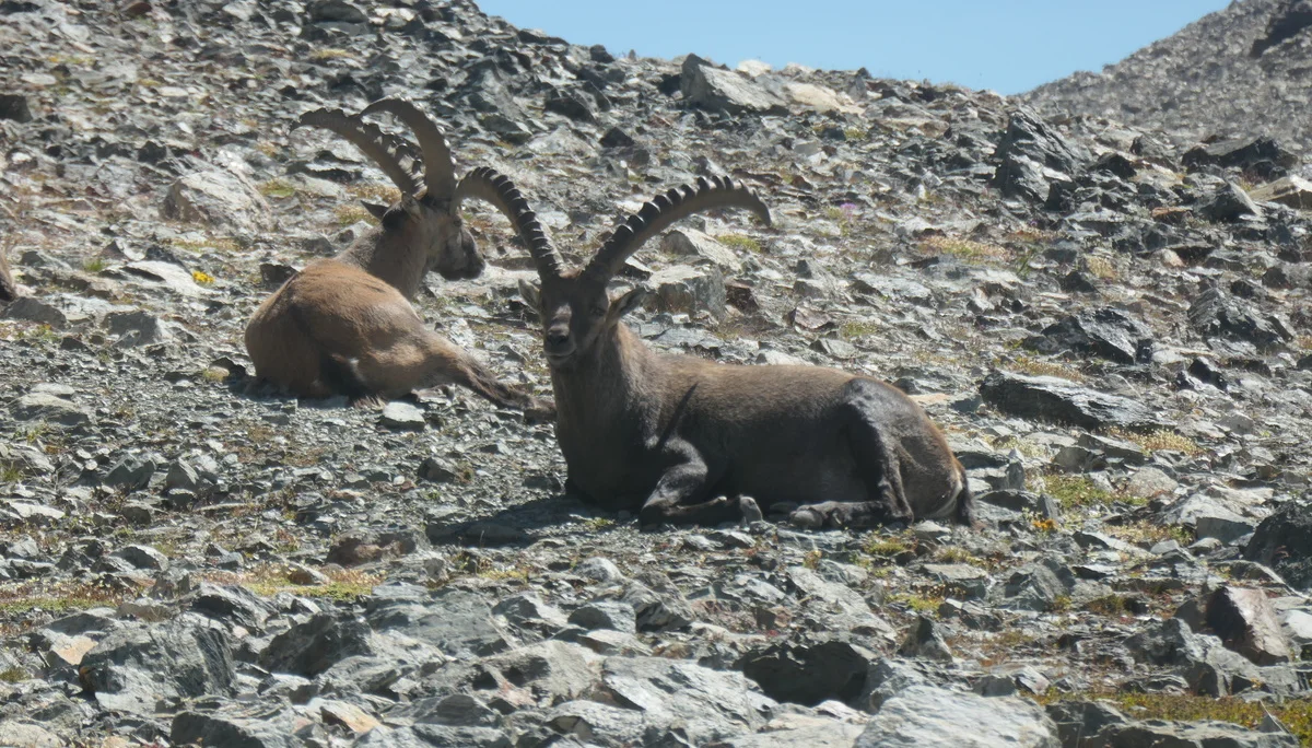 © DAV Sektion Rosenheim