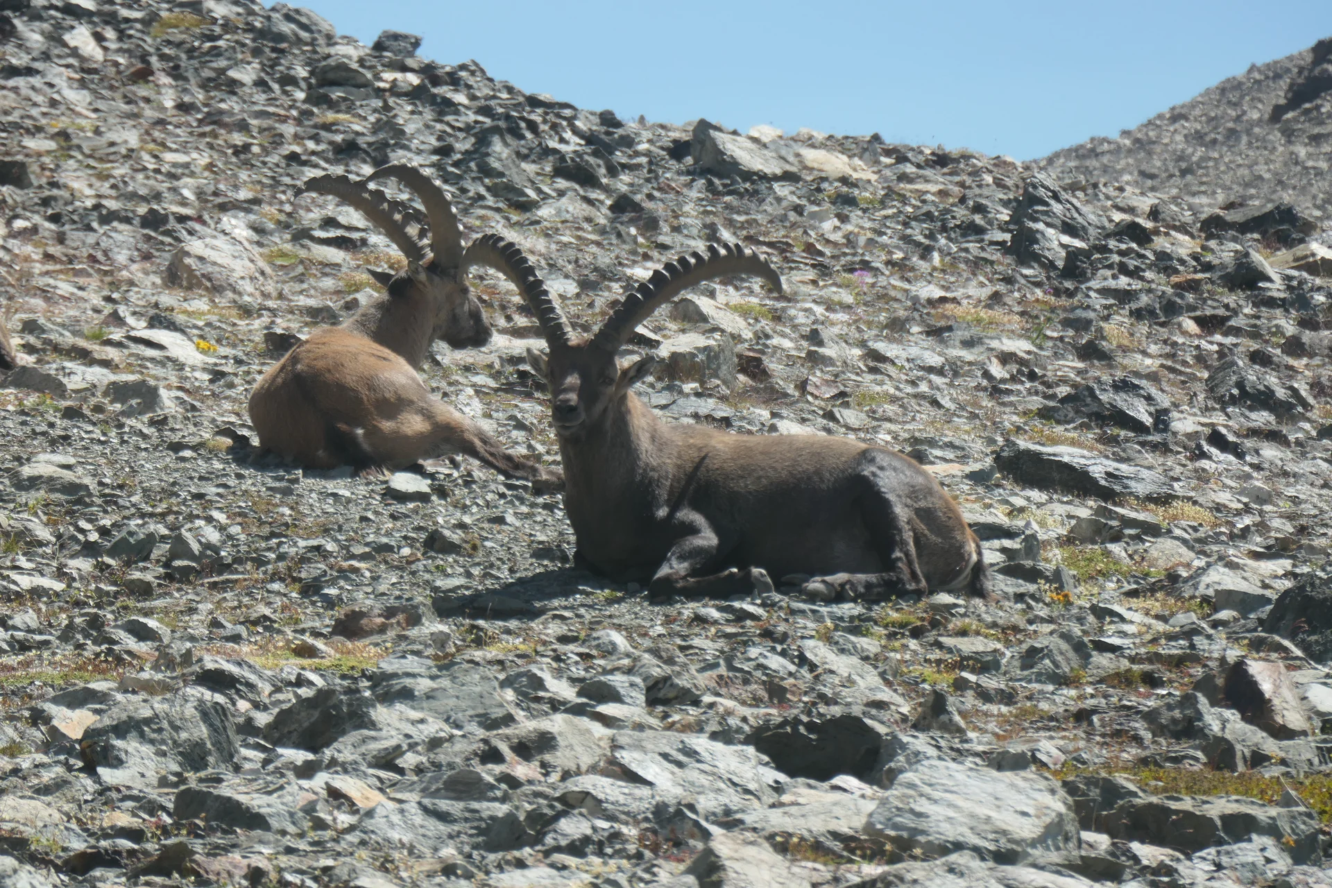 © DAV Sektion Rosenheim