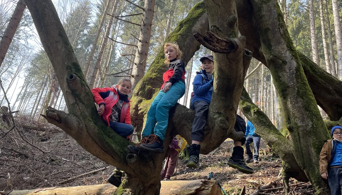 © DAV Sektion Rosenheim Alpinkids