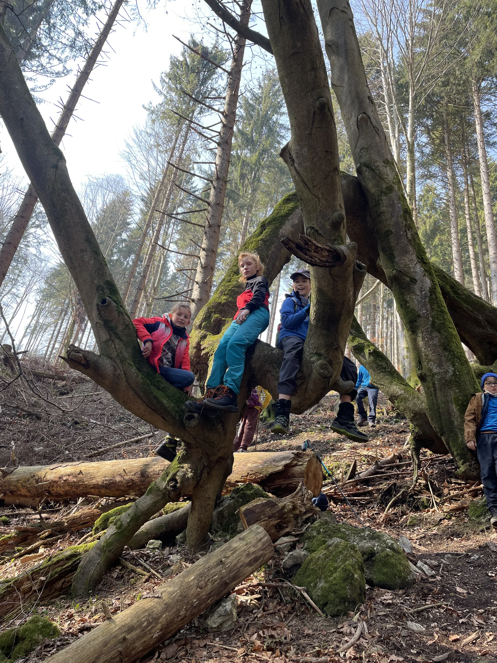 © DAV Sektion Rosenheim Alpinkids