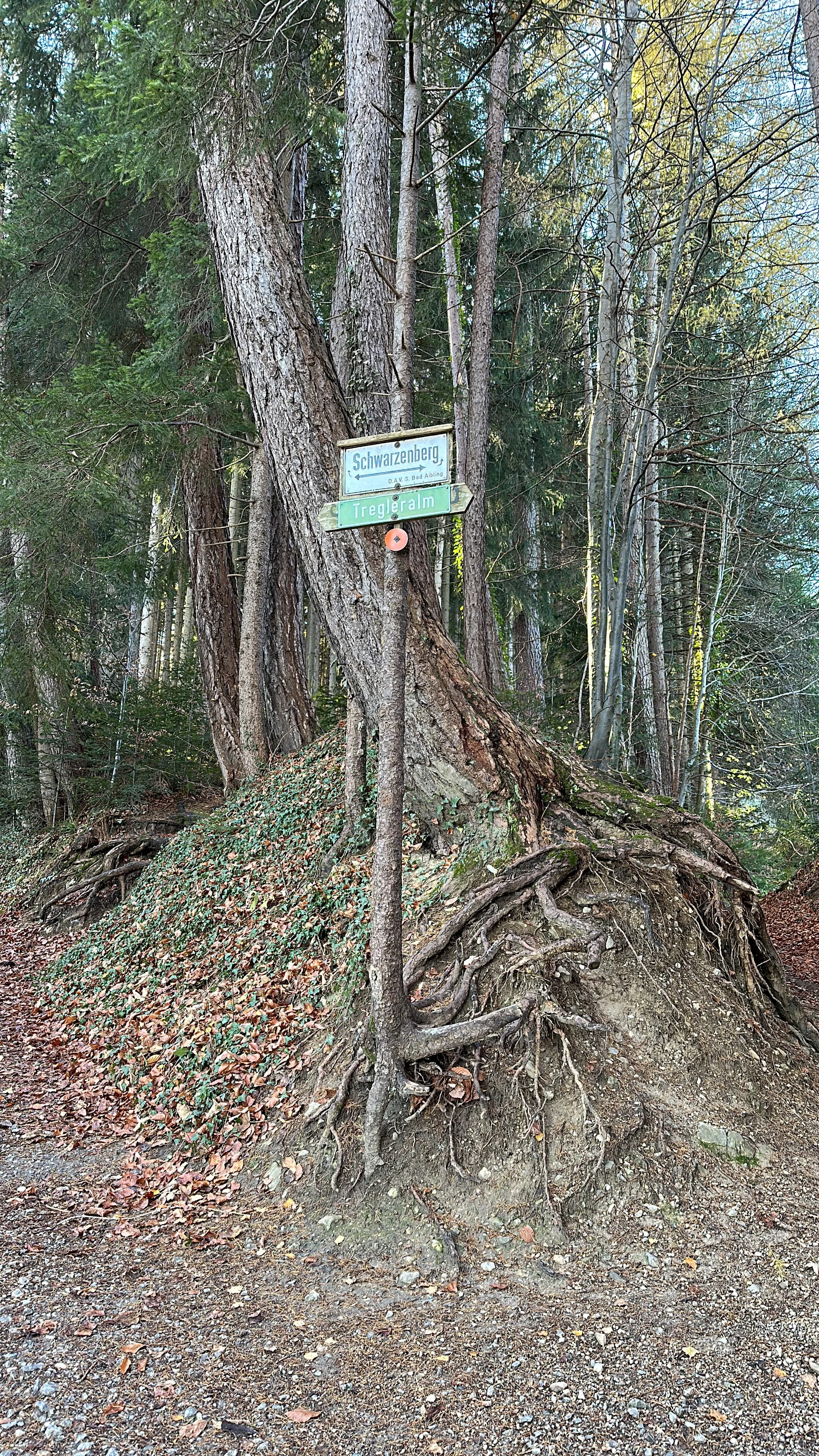 © DAV Sektion Rosenheim Alpinkids