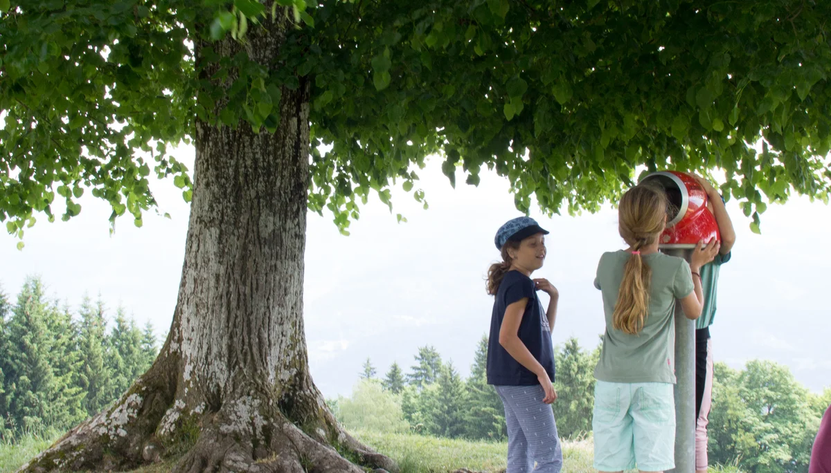 © DAV Sektion Rosenheim