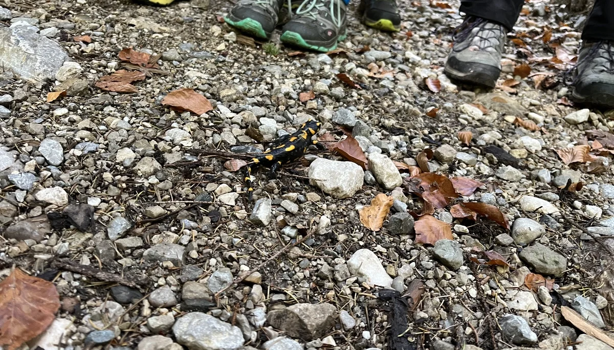 © DAV Sektion Rosenheim