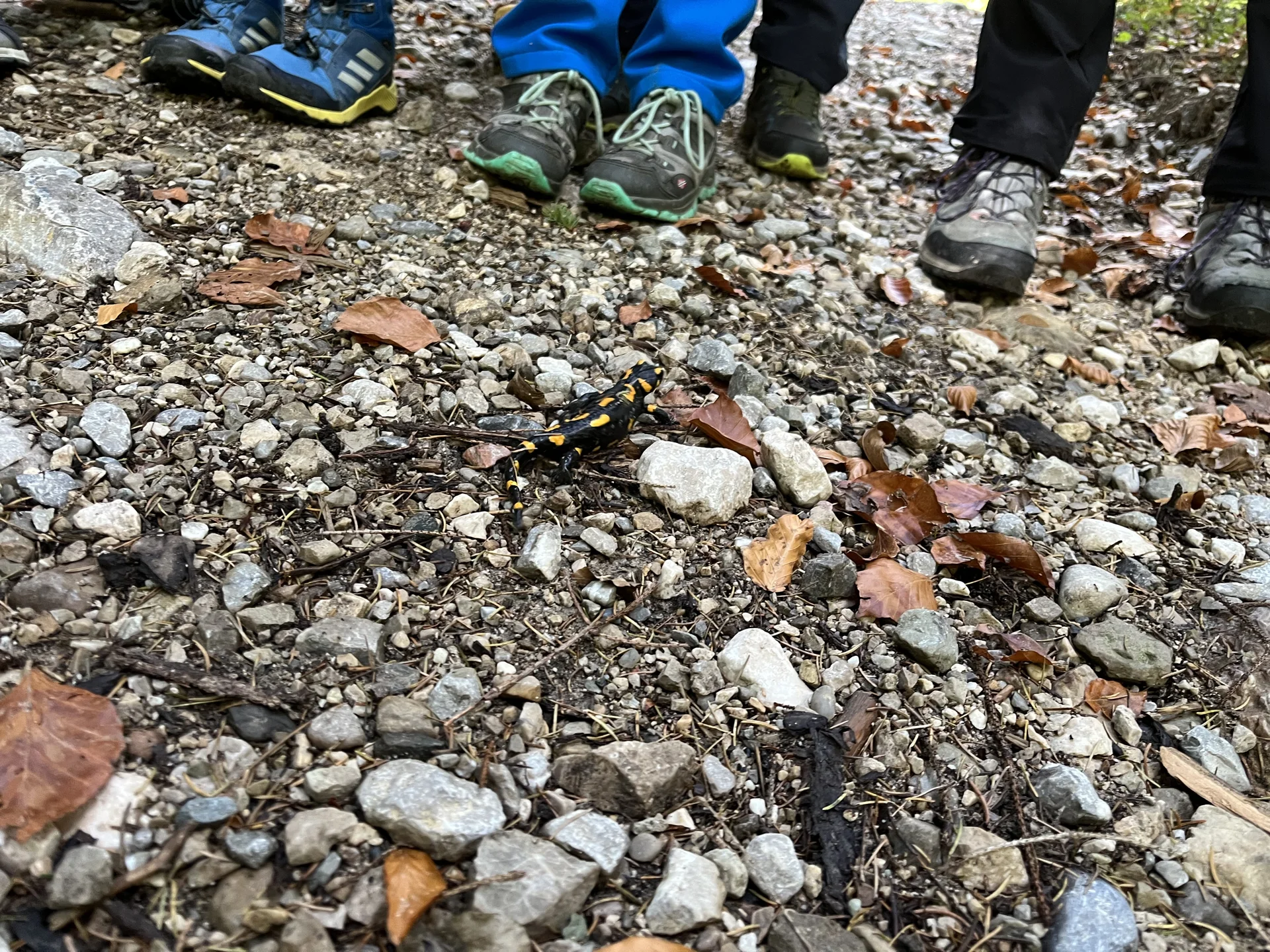 © DAV Sektion Rosenheim