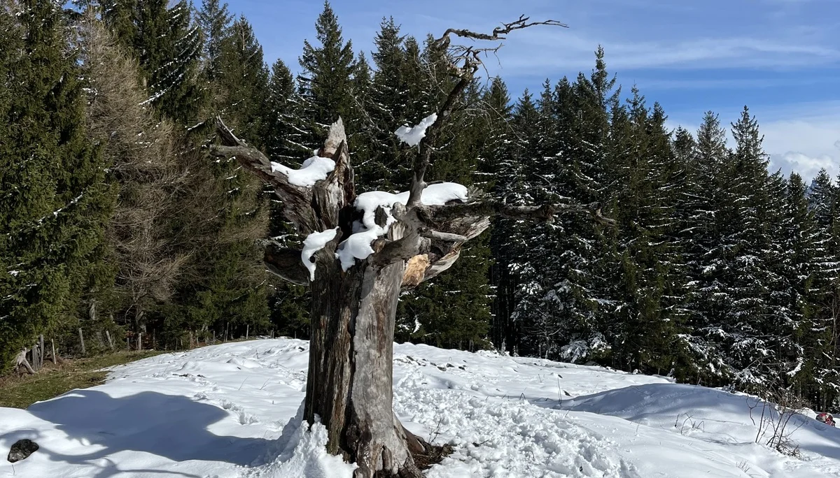 © DAV Sektion Rosenheim - Gipfelstürmer