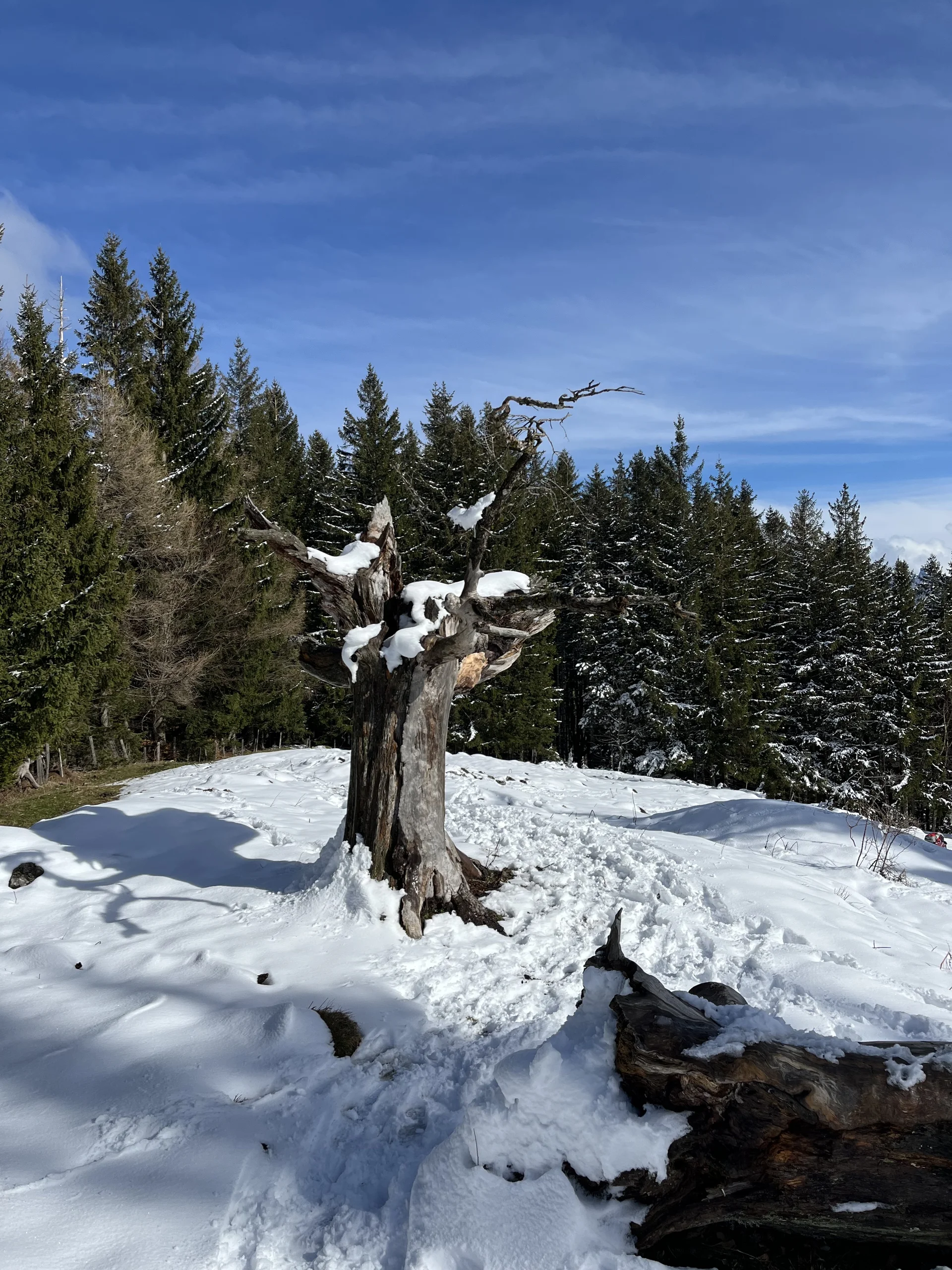 © DAV Sektion Rosenheim - Gipfelstürmer